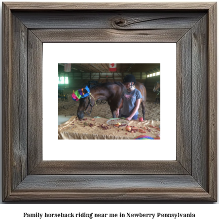 family horseback riding near me in Newberry, Pennsylvania